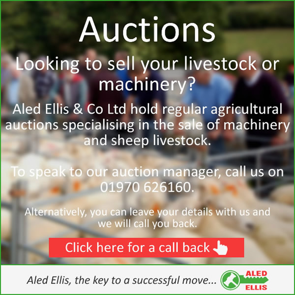 Auctions Aled Ellis & Co Ltd Aberystwyth Ceredigion