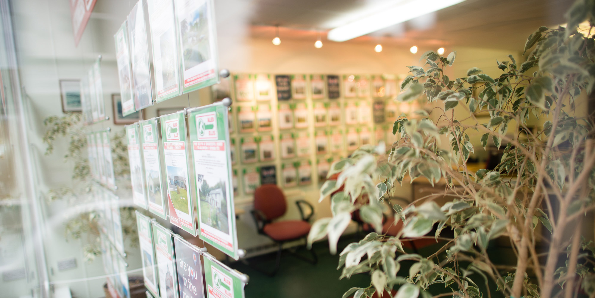 Aled Ellis Aled Ellis & Co Ltd Aberystwyth Ceredigion