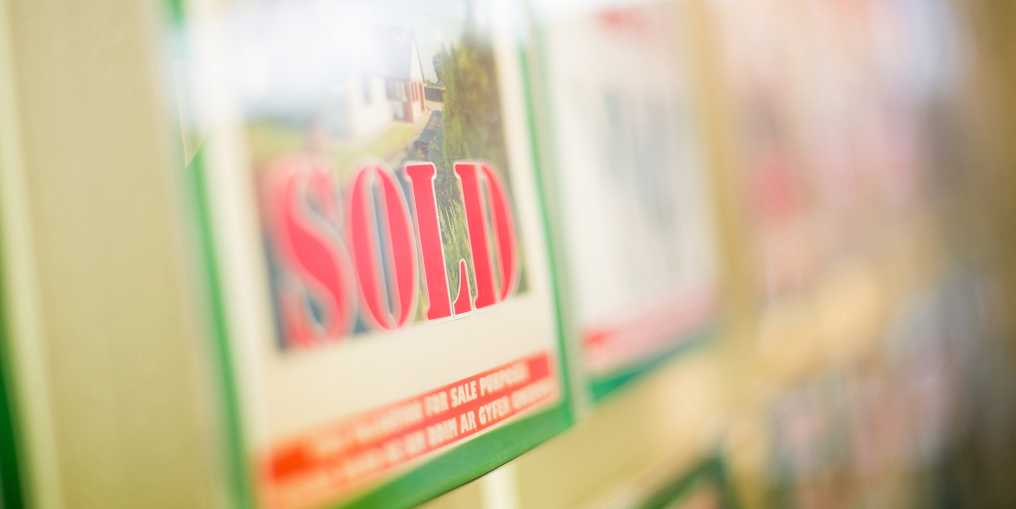 Aled Ellis Aled Ellis & Co Ltd Aberystwyth Ceredigion